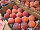 Savory Washington Grown Peaches sold at the Vancouver Farmer's Market.  Photo by John Slocum, ClarkCountyExpert.com, September, 2007