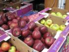 Washington's trademark Red and Golden Delicious Apples at the Vancouver Farmer's Market.  Photo by John Slocum, ClarkCountyExpert.com, September 2007