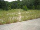 One of the many trails leading to Barton Creek Greenbelt from Old Travis Country entrance.