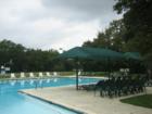 Travis Country Hilltop Pool