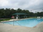 Travis Country Hilltop Pool