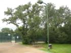 Basetball court, tennis courts, and picnic table at Travis Country Hilltop.