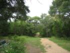 A hike and bike trail in Gaines Park.