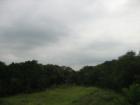 Travis Country Blue Valley green area.