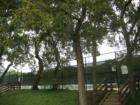 Travis Country Blue Valley Tennis Courts