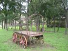 The little red wagon in Travis Country.