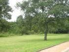 Travis Country Blue Valley green area is great for family picnics or nice walks through the greenbelts.