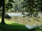 Speedwell Forge Lake - Sept 2007