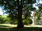 West Chester University, West Chester, PA