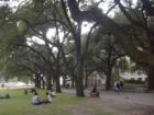 UT Campus on a regular school day.