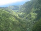 Maui, Hawaii Rainforest