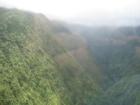 Maui, Hawaii Rainforest
