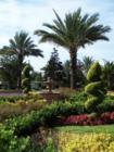 Beautiful Landscaping