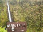 Akaka Falls - Akaka Falls State Park just north of Hilo