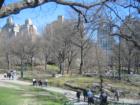 Central Park - NYC