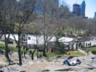 Central Park - NYC