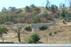 Pacheco Hills