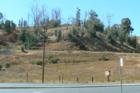 Pacheco Hills
