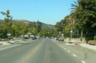 Pacheco