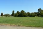 The Marina Park