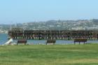 Martinez Marina