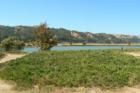 Martinez Marina