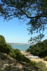 Carquinez