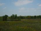 Shiawassee Basin Preserve