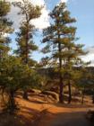Royal Gorge Park