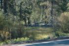 doe and 2 fawn on Little Deschutes River
