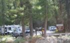 Camping @ Mount Charleston (9-07)