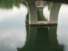 Lamar Street Bridge - this is a funny pic if you can read the graffiti (inside joke for Austinites).