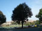 Reading Hospital Campus in West Reading PA