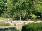 The creek and a sculpture at the Reading Public Museum in West Reading PA