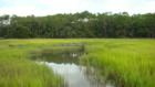 Enjoy nature in Historic Little River, South Carolina