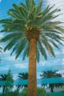 Ar119033023677117_l