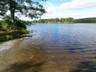 Pecks Pond