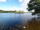 Pecks Pond -  Great place for fishing! 