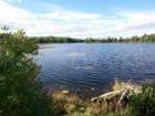 Pike County has lots of great places to fish including Pecks Pond!