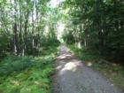 This is part of the Bruce Lake Natural area, which is a 2.5 mile hiking trail, part of Promised Land State Park.  The first part of the trail is gravel but it's mostly grassy.