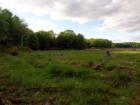 Balsam Swamp, seen along the 2.5 mile Bruce Lake hiking trail.  This is part of Promised Land State Park, and one of the reasons I love Pike County PA! 