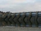 Great Salmon fishing at Nimbus Dam about 39 miles from Solano County. Prime time between Sept. 20ish to October 31.