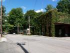 Vogler's Feed Store in Hawley - an old brick building covered in ivy, has been a landmark for decades.  
