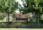 Sarah's Park in Mirimar Village - The Villages of Stonebriar Park - Frisco, Texas - Photography by Precious Memories - For more information on this community contact Christy Singleton at 214-770-5660.