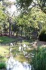 Beautiful Creek views in Shenandoah Village - The Villages of Stonebriar Park - Frisco, Texas - Photography by Precious Memories - For more information on this community contact Christy Singleton at 214-770-5660.
