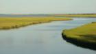That's why we call it Little River Folks...
