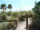 Green Key Beach Protected Sea Oats