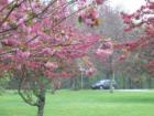 Route 130 - May 06