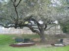 Common's Ford Ranch - Austin, TX