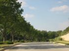 Driving into Senna Hills